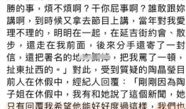 陶晶莹被爆料过吗视频,真相与争议
