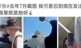 热巴机场爆料视频,爆料视频引发网友热议