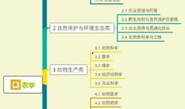 烤鸭大姐爆料视频大全集,视频大全集揭秘美食背后的故事