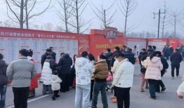 徐州沛县最新爆料新闻,最新爆料揭示惊人真相