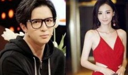 两任前女友爆料视频大全,真相与争议交织的娱乐圈风云录”