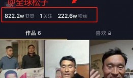 老炮北京边哥爆料视频播放,一场引人入胜的京城风云