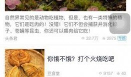 成都商报今日头条爆料,揭秘成都某神秘事件真相