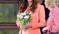 香港爆料凯特王妃视频在线观看,凯特王妃私密视频在线观看引发热议