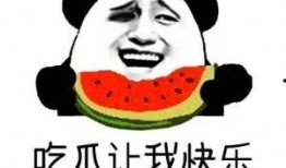 娱乐吃瓜酱语言的艺术,吃瓜群众的艺术盛宴