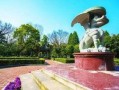 中山公园最新爆料新闻,神秘事件引发公众热议