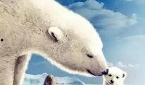 arctic tale在线观看,跟随Arctic Tale踏上北极之旅