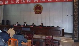 新县网友爆料新闻事件,惊现重大新闻事件，真相令人震惊！