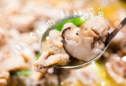 爆料牛蛙视频下载大全,海量资源一网打尽