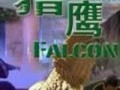 猎鹰全集在线观看,揭秘特工精英的惊险征程