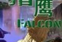 猎鹰全集在线观看,揭秘特工精英的惊险征程
