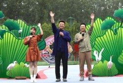 近期新爆料机车事件新闻,近期新闻聚焦焦点