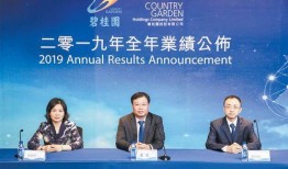 碧桂园公开爆料总裁视频,揭秘企业内部真相