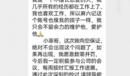 孟贺爆料张颖颖视频播放,真相与争议