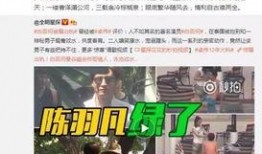 卓伟爆料颖宝视频大全集,卓伟爆料背后的真相与争议