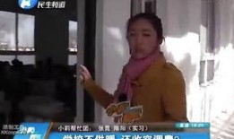 小莉帮忙爆料事件视频播放,真相揭秘引热议