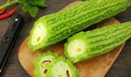 遂川免费吃瓜,畅享清凉夏日时光