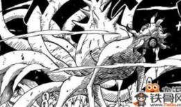 火影爆料须佐鼬视频下载