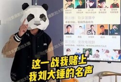 刘大锤三月爆料视频大全,热点事件幕后真相揭晓