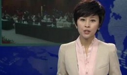 李萱最新爆料新闻联播在线观看,揭秘新闻联播幕后故事，在线观看精彩不容错过