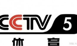 cctv4在线直播观看,全球视角下的中国故事