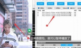 今日视频爆料小程序下载,小程序下载背后的秘密与亮点