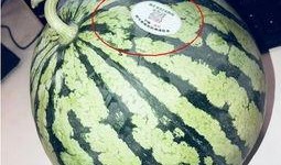 永年网红吃瓜,揭秘网络热点背后的故事