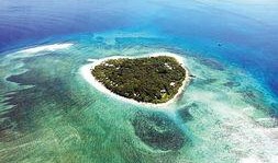 蓝色珊瑚礁在线观看,探寻海底奇观之旅