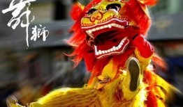 舞狮少年技能爆料视频完整版,精彩绝伦的舞狮技艺全解析