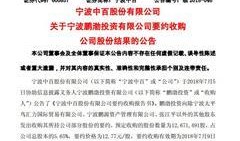 宁波新公司最新爆料新闻,揭秘神秘项目与行业突破！