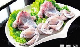牛蛙厨师爆料视频大全集,揭秘视频大全集背后的真实故事