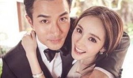 圈内爆料刘恺威和杨幂,圈内爆料揭秘夫妻关系真相