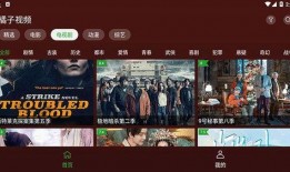 爆料明星素材视频大全下载,素材视频大全下载解析