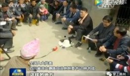 凉山新闻爆料网红,揭秘网红背后的真实人生