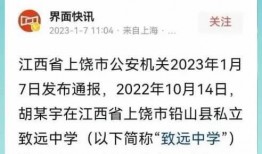 致远中学 爆料事件视频,真相与争议的交织