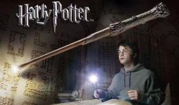 哈利魔杖爆料视频大全最新