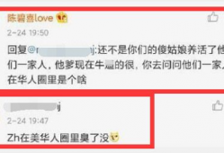 美国华人圈爆料视频播放,揭秘背后真相