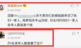 美国华人圈爆料视频播放,揭秘背后真相