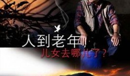 夜莺电影在线观看,穿越时空的歌声，在线观影之旅