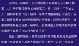 广东最新爆料消息视频播放,视频揭秘事件真相，详情速览