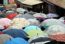 重庆网友爆料雨伞视频大全,雨伞下的城市风情视频大全集