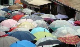 重庆网友爆料雨伞视频大全,雨伞下的城市风情视频大全集