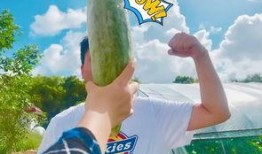 吃网红瓜的平台有哪些呀,盘点热门八卦聚集地