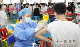 史命在线观看,穿越时空的历史之旅