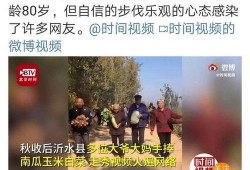 乐播老贾爆料新闻视频大全,新闻视频大全背后的精彩瞬间