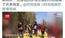 乐播老贾爆料新闻视频大全,新闻视频大全背后的精彩瞬间