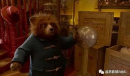 爆料娱乐圈博主熊婶,揭秘明星背后的惊人真相！