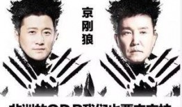 外网爆料吴京视频在线,揭秘动作巨星背后的故事