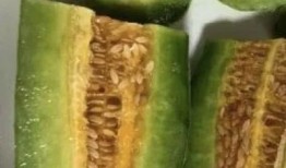 吃网红瓜的平台有哪些呀,盘点热门八卦聚集地