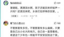 致远中学 爆料事件视频,真相与争议的交织